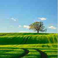 开‍源​免​费‌字​体‍有​哪‍些‍